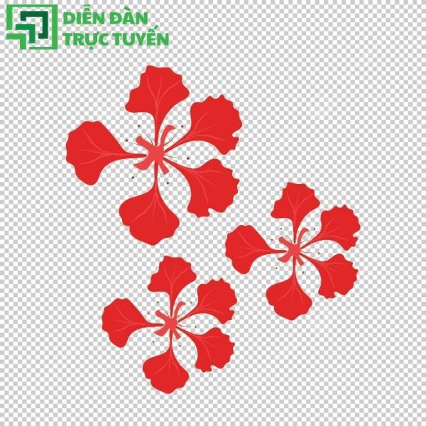Mẫu hoa phượng vector đẹp, phù hợp thiết kế banner, poster mùa hè