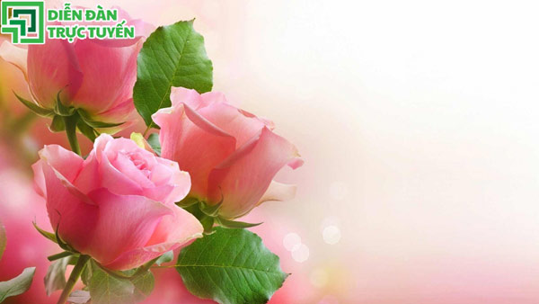 background-20-10-vector-02