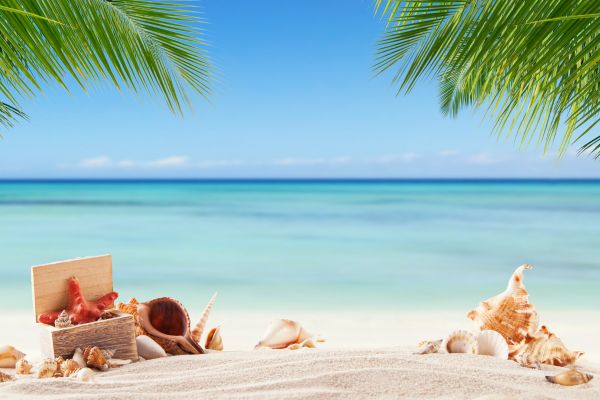 Background biển & cát vector