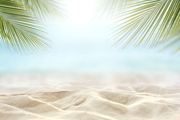 Background biển vector tối giản 