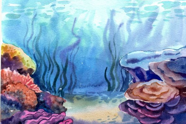 Background biển nét màu vẽ 