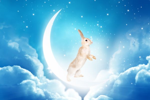 Background Tết Trung Thu thỏ ngọc