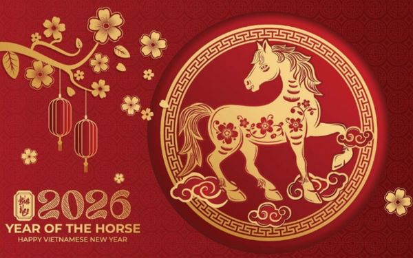 Phông nền Tết hoa văn vector nhẹ nhàng, tinh tế