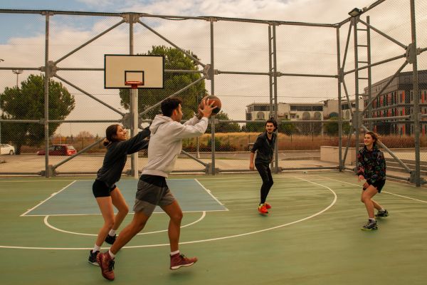 Thể thao đồng đội