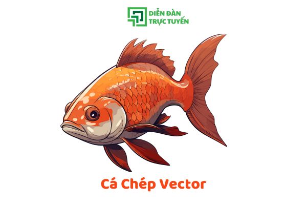 Tải Trọn Bộ Cá Chép Vector Nghệ Thuật Đặc Sắc