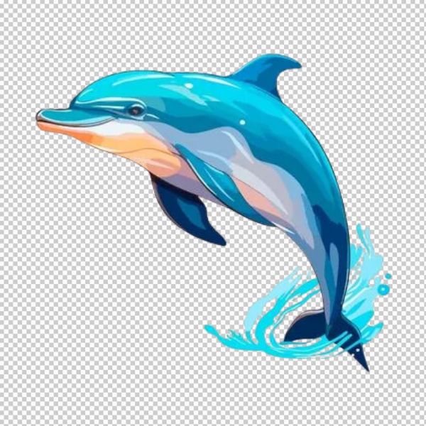 Cá heo vector vẽ thực