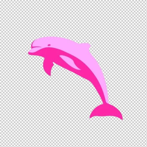 Cá heo vector hồng