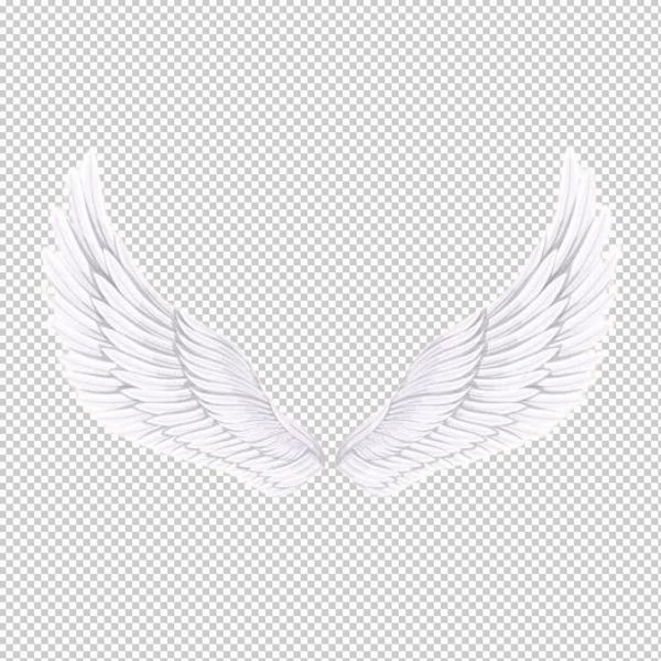 Cánh thiên thần vector trắng