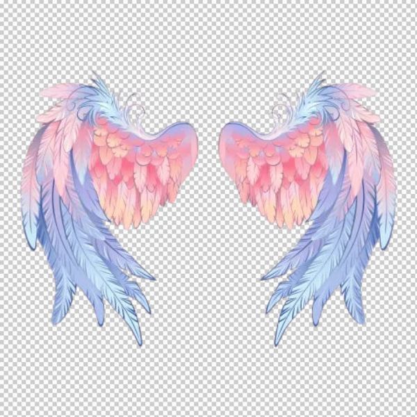 Cánh thiên thần vector ấn tượng