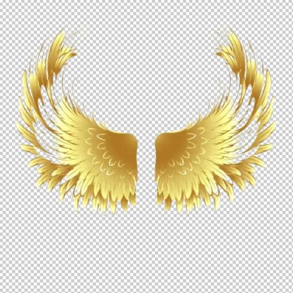 Vector cánh thiên thần vàng