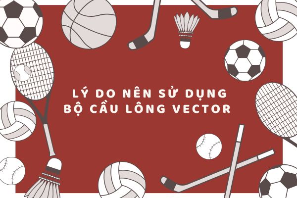 Lý do nên sử dụng bộ cầu lông vector 