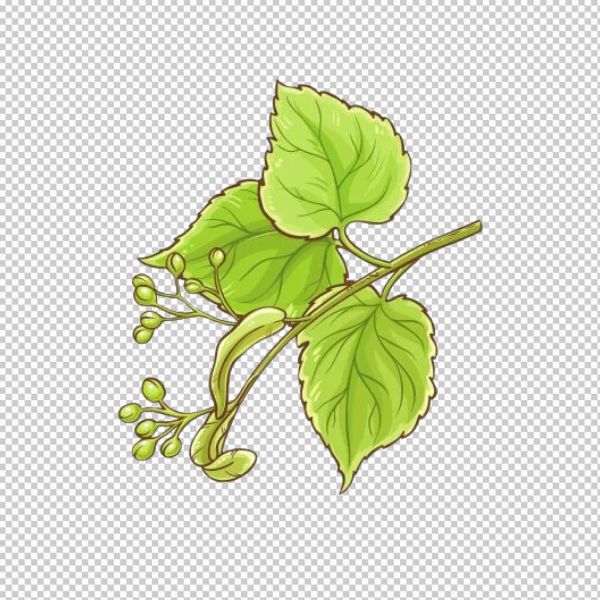 Cây bồ đề vector hiện đại