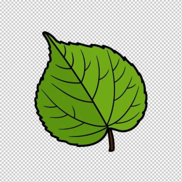 Cây bồ đề vector màu sắc tươi sáng