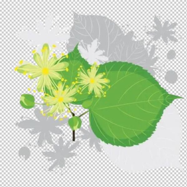 Cây bồ đề vector phong cách cổ điển