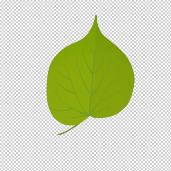 Vector lá bồ đề màu nhạt