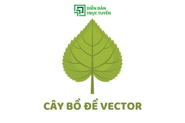 Tải 10+ Mẫu Cây Bồ Đề Vector Cho Ấn Phẩm Thiết Kế