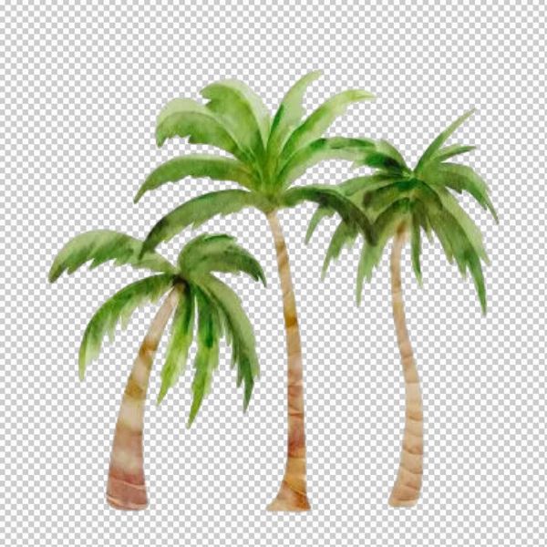 Ba cây dừa vector