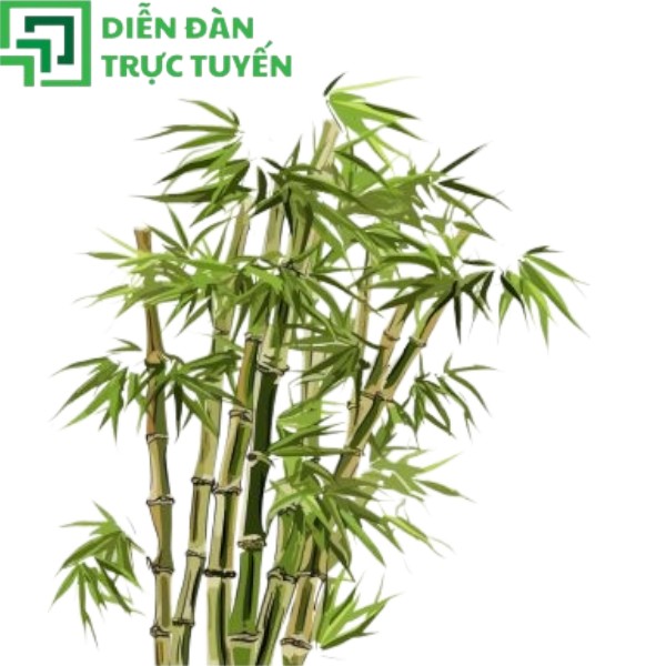 Cụm cây tre vector