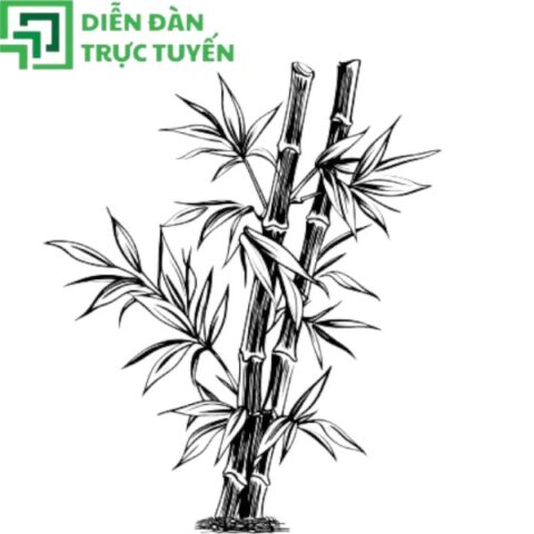 Tải 20+ Mẫu Cây Tre Vector File JPEG, PNG, GIF, TIFF, PSD