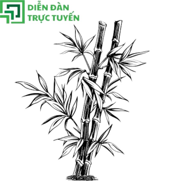 Vector cây tre đen trắng nét chì