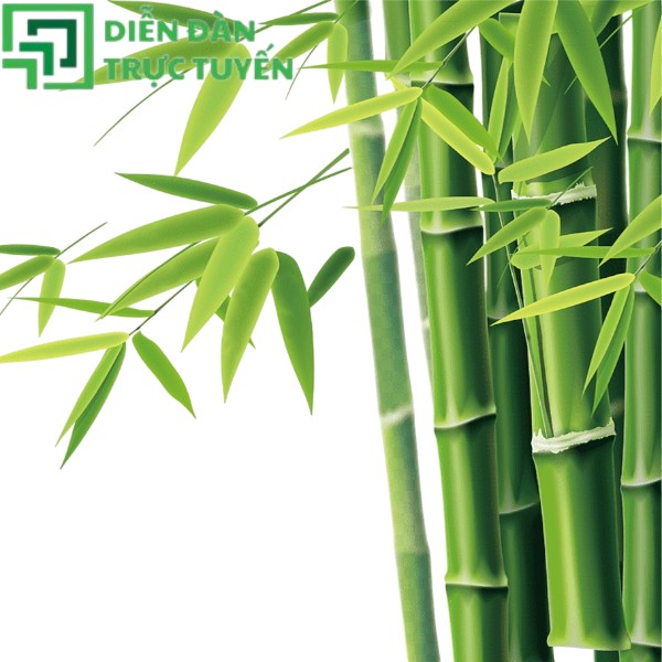 Bụi tre thiên nhiên vector File JPG