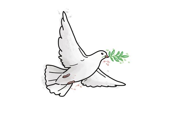 Chim bồ câu vector thông dụng