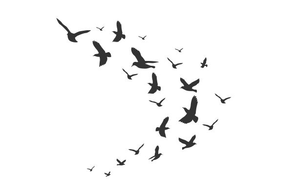 Vector đàn chim bồ câu