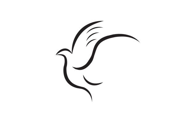 Chim bồ câu vector nét vẽ tối giản