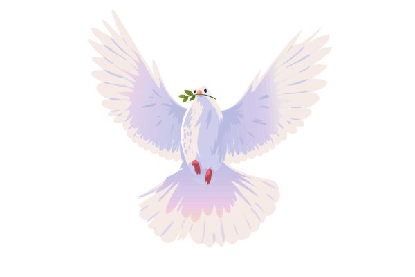 Chim bồ câu vector trắng hồng