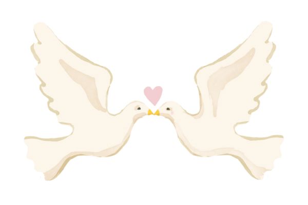 Cặp chim bồ câu vector