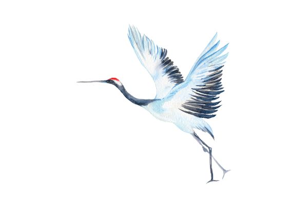 Chim hạc vector màu xanh và đen