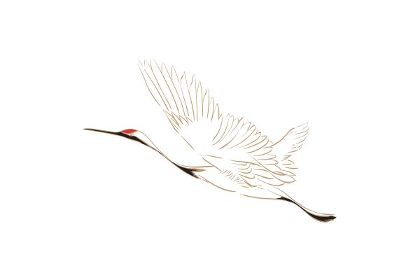 Vector chim hạc bay