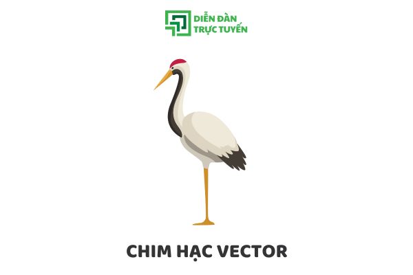 Tải 10+ Mẫu Chim Hạc Vector Chất Lượng Cao Miễn Phí