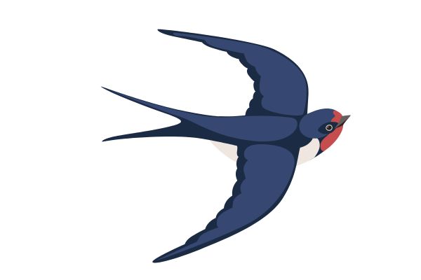 Vector chim yến đang bay