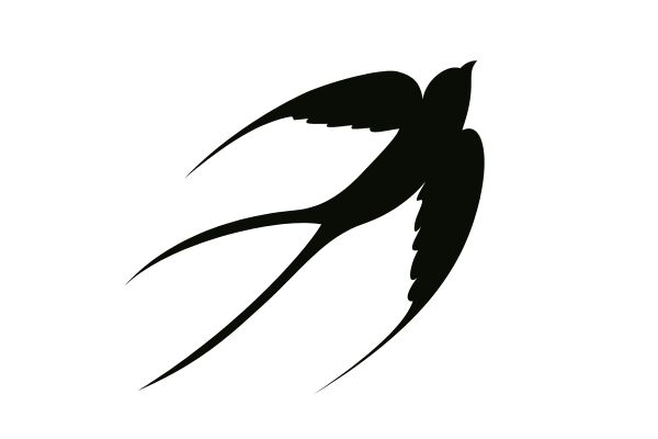 Vector chim yến âm bản