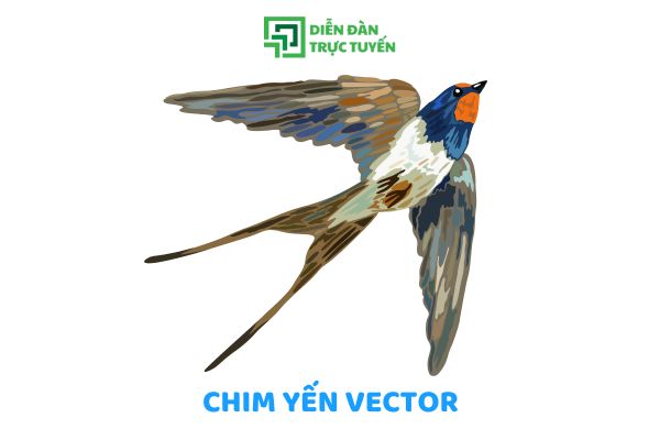 Tải Nhanh Ảnh Chim Yến Vector Đồ Hoạ Thiết Kế Free