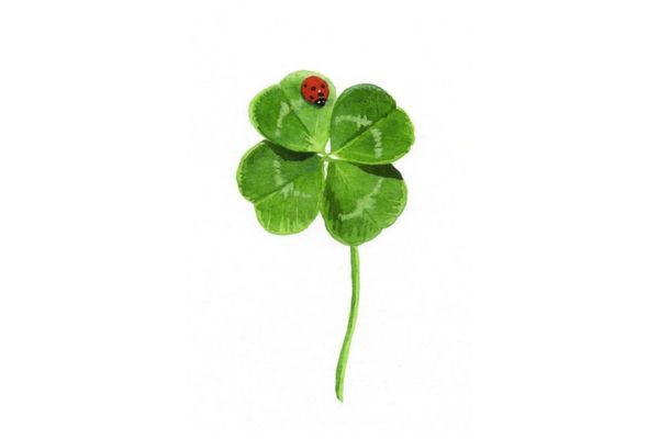 Cỏ 4 lá vector có con bọ