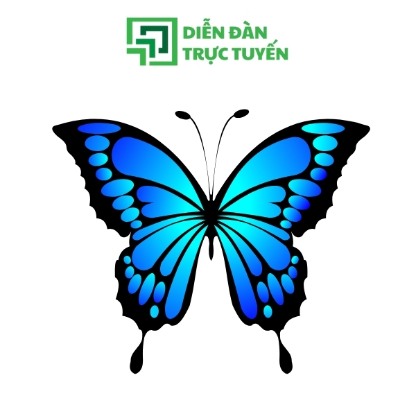 Mẫu Con Bướm Vector Xanh Đen