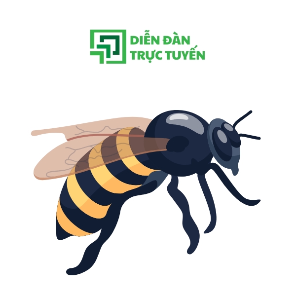 Hình: Vector con ong mật
