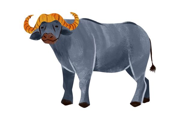 Con trâu vector độc lạ