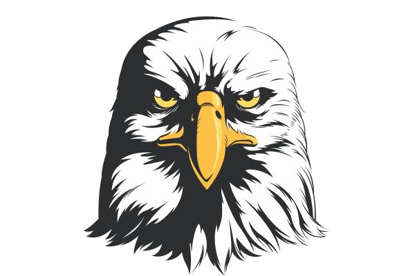 Đầu đại bàng vector 