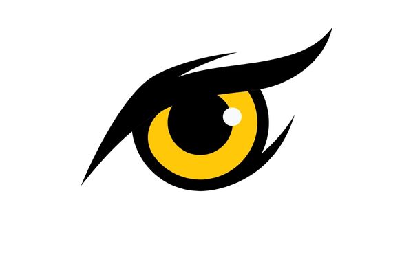 Mắt chim đại bàng vector 