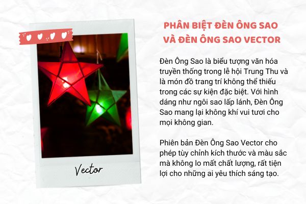 Phân biệt đèn ông sao và đèn ông sao vector