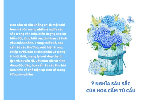 Ý nghĩa sâu sắc của hoa cẩm tú cầu trong văn hóa và thiết kế
