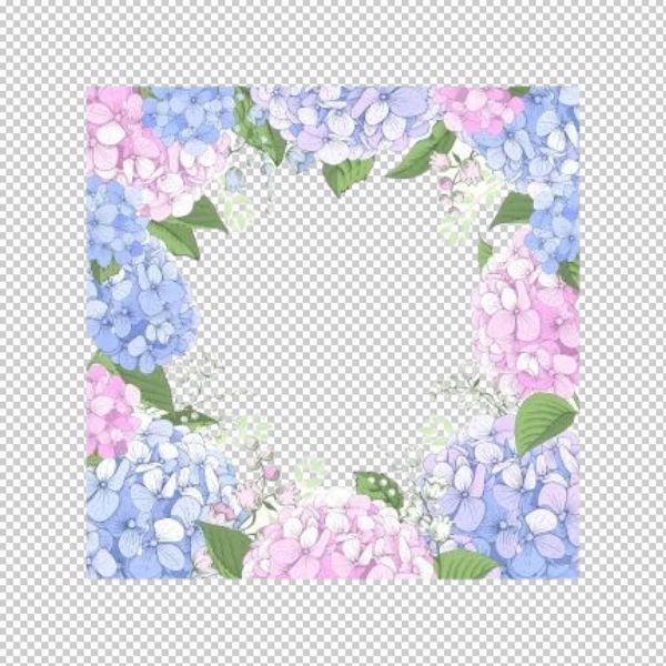 Khung vuông hoa cẩm tú cầu vector