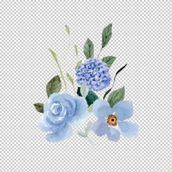 Hoa cẩm tú cầu vector đẹp