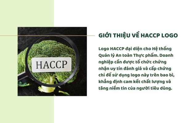 Giới thiệu về HACCP logo 