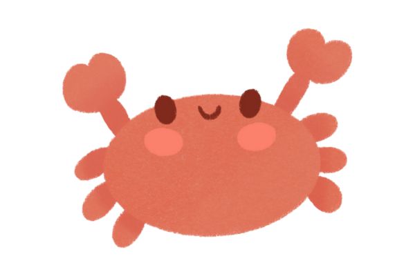 Vector con cua basic 