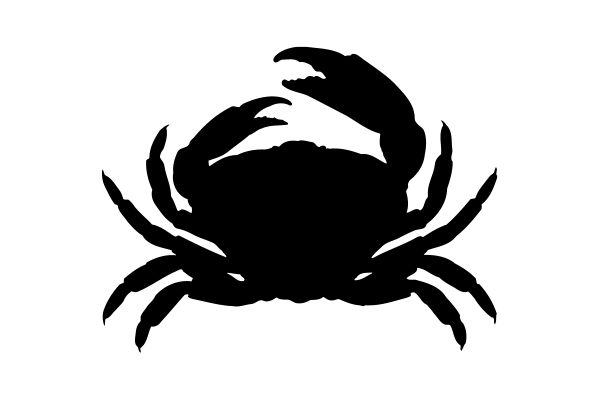 Vector cua đen âm bản