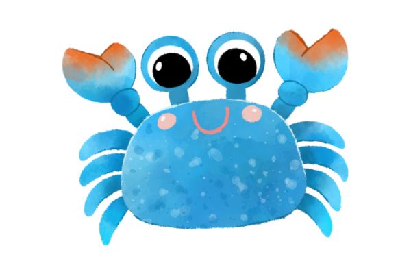 Vector con cua màu ấn tượng